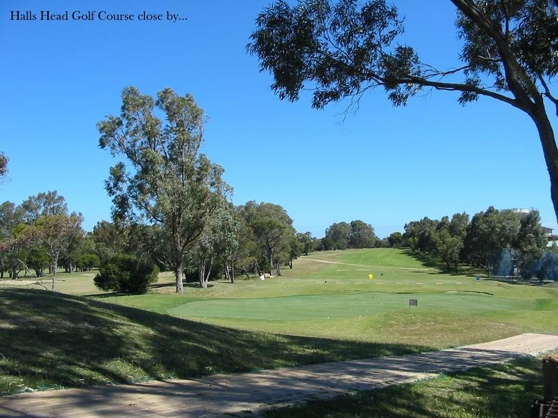 18 Scrivener Place, Halls Head WA 6210