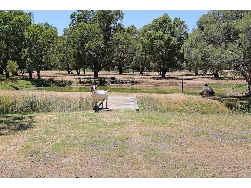 85 Shenton Road, Barragup WA 6209