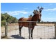 38 Tranquil Retreat, Barragup WA 6209