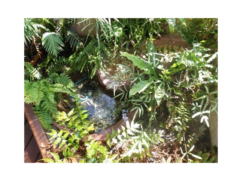 81 Templetonia Promenade, Halls Head WA 6210