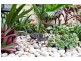 4 Bee Way, Falcon WA 6210