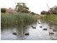 4 Bee Way, Falcon WA 6210
