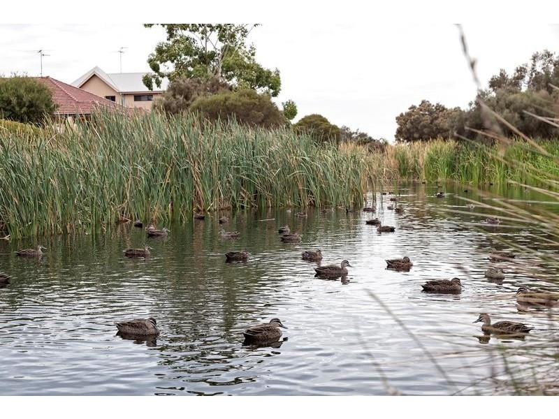 4 Bee Way, Falcon WA 6210
