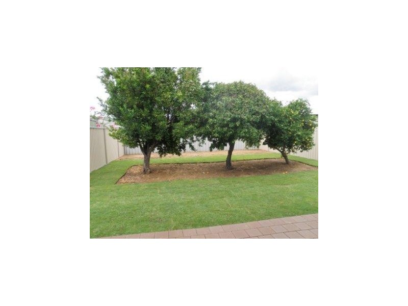 A/36 Kitchener Street, Dudley Park WA 6210