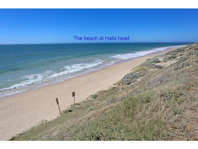 2B Grange Court, Halls Head WA 6210