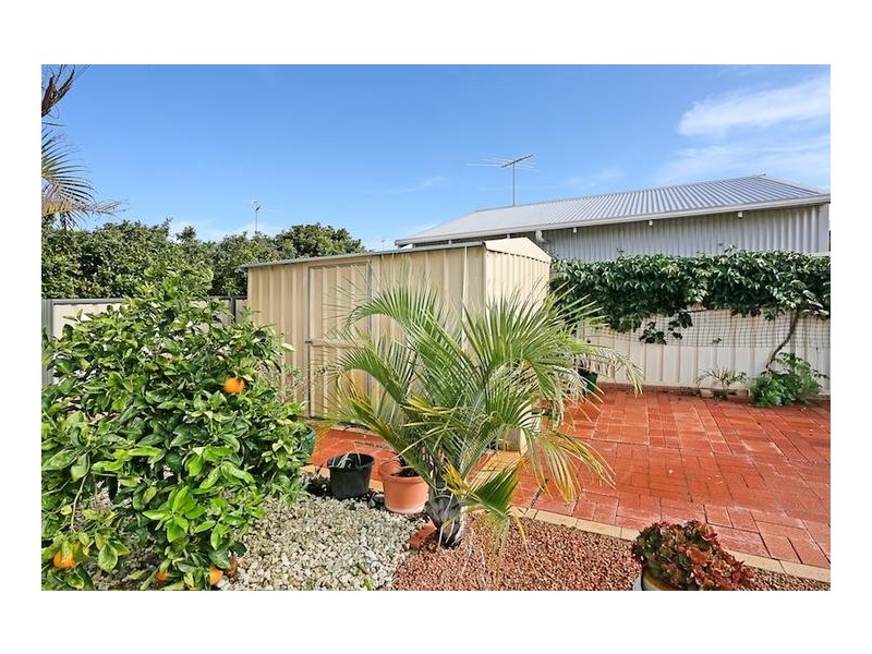 21 Catalpa Place, Falcon WA 6210