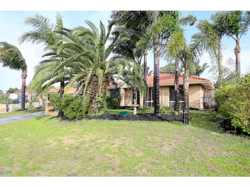 41 Wardell Loop, Dudley Park WA 6210