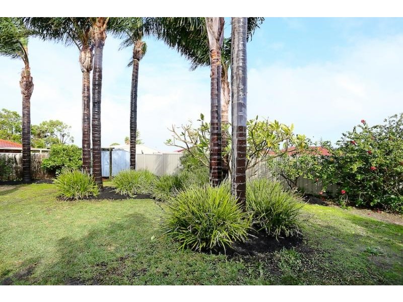 41 Wardell Loop, Dudley Park WA 6210