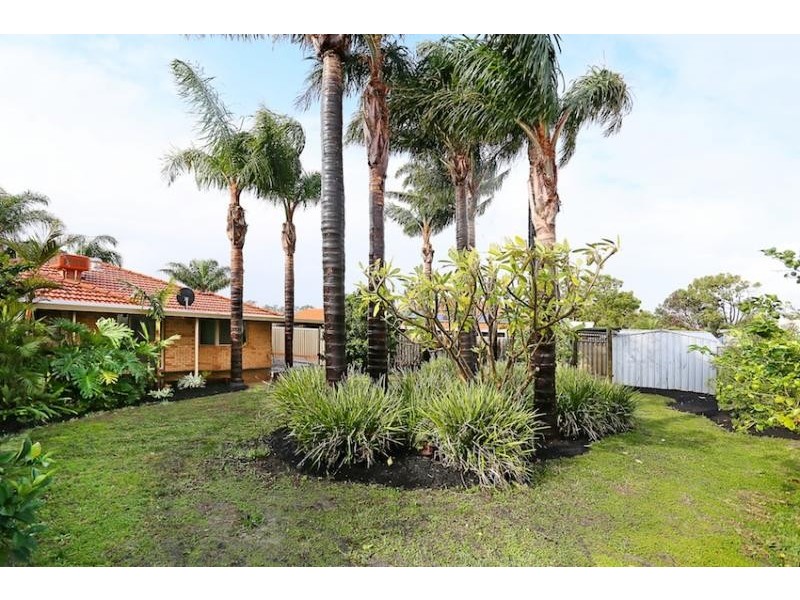 41 Wardell Loop, Dudley Park WA 6210