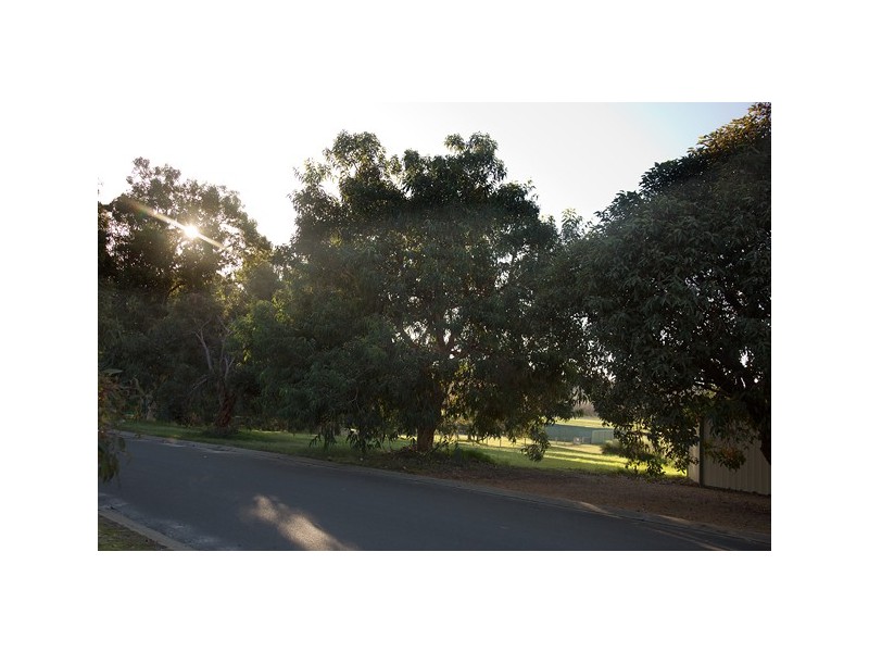 4 Nuytsia Close, Donnybrook WA 6239