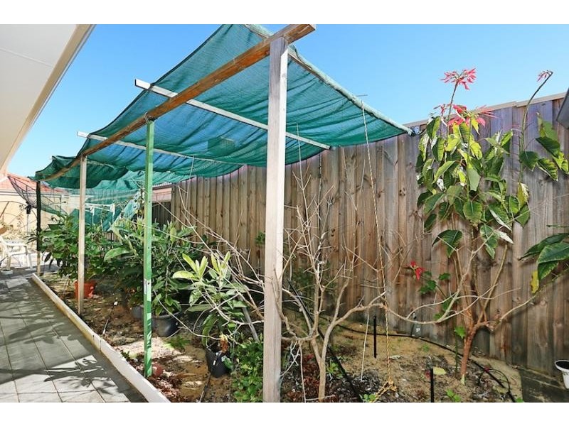 68 Buttercup Parkway, Halls Head WA 6210