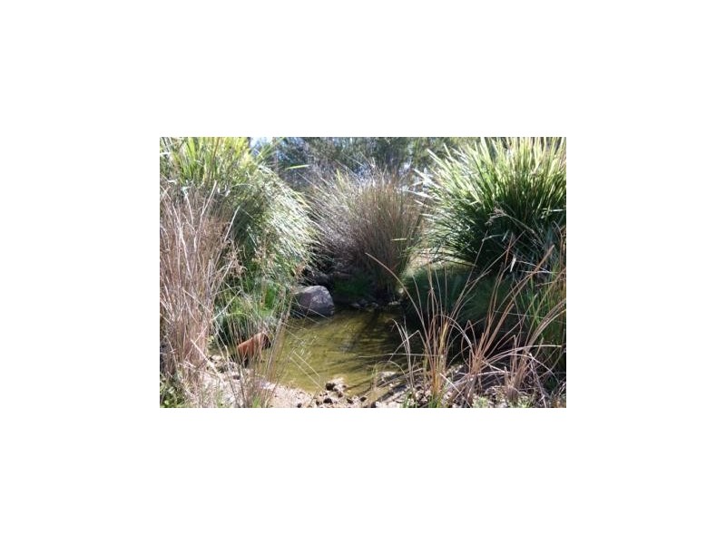 70 Teranca Road, Greenfields WA 6210