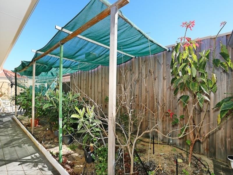 68 Buttercup Parkway, Halls Head WA 6210