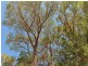 2134 Old Coast Road, Herron WA 6210