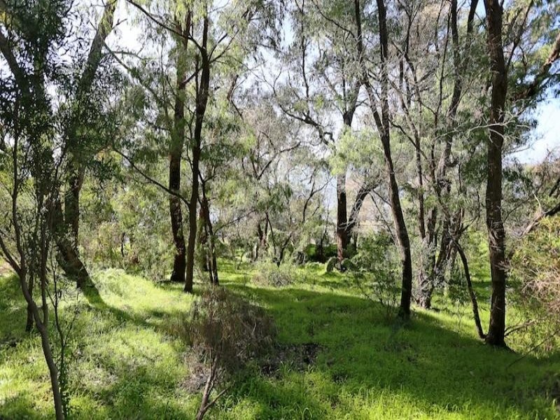 520 Estuary Road, Dawesville WA 6211