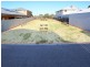135 Darwin Terrace, Dudley Park WA 6210