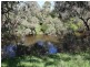 14 Kirkham Street, Pinjarra WA 6208