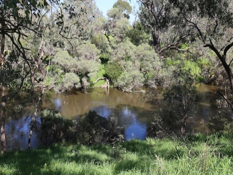 14 Kirkham Street, Pinjarra WA 6208
