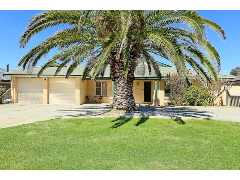 99 Peelwood Parade, Halls Head WA 6210