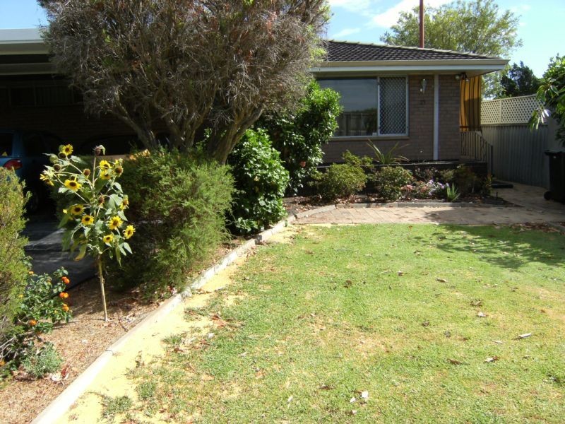 29 Raymond Street, Yokine WA 6060