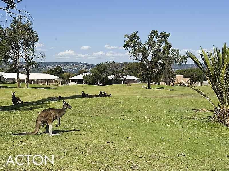 35 Pavilion Circle, The Vines WA 6069