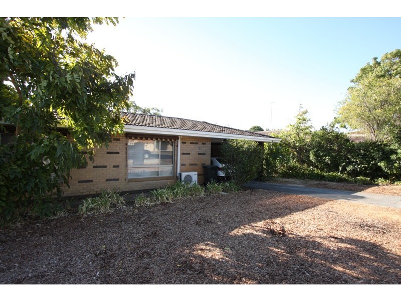 117 Alexander Drive, Dianella WA 6059