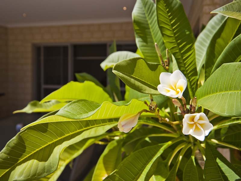 7A Bignel Place, Redcliffe WA 6104