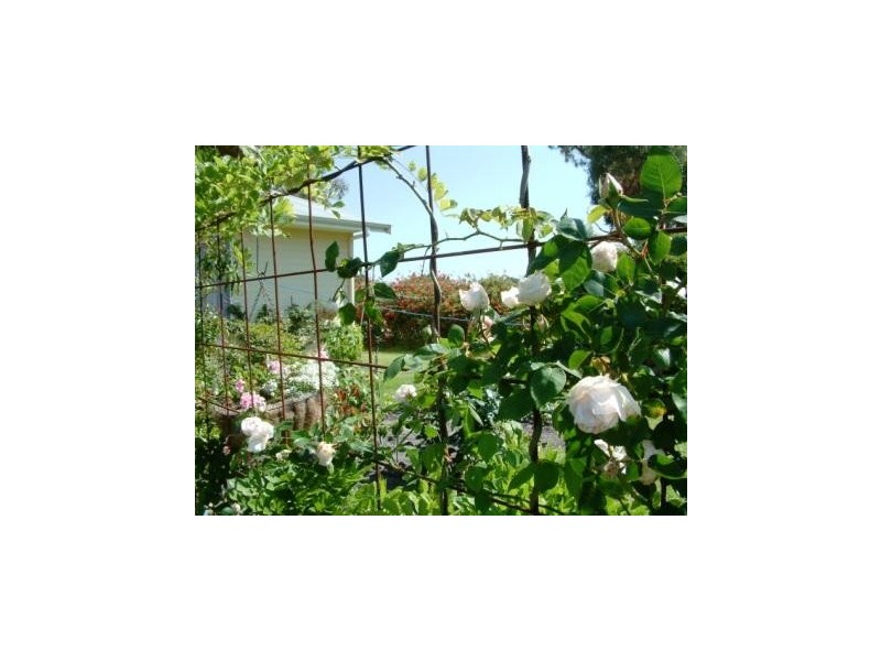 98 Old Elleker Road,, Albany WA 6330