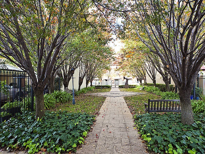 8/19 Little Shenton Lane, Northbridge WA 6003