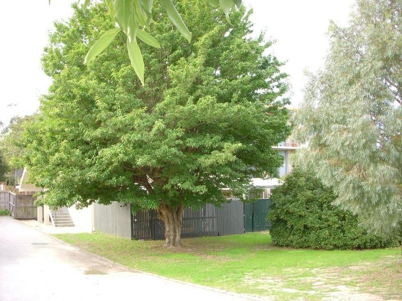 12/200 Peninsula, Maylands WA 6051