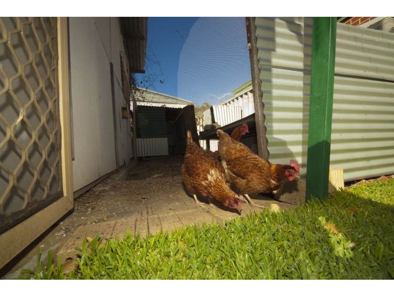 18 Kenilworth Street, Maylands WA 6051