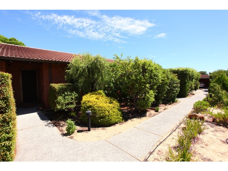 7/145 Lawley Street, Yokine WA 6060