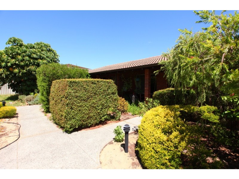 7/145 Lawley Street, Yokine WA 6060