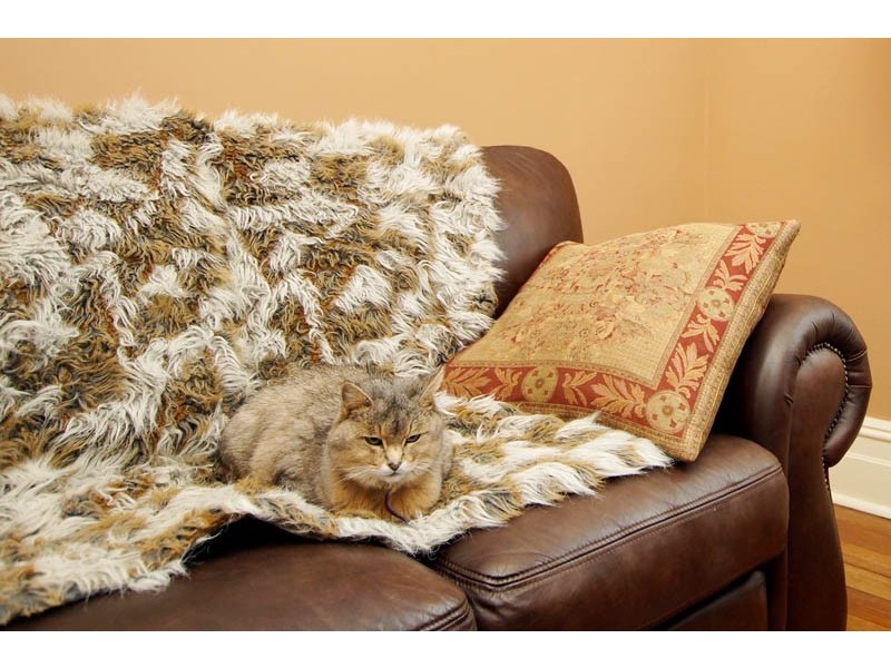 137 Seventh Avenue, Inglewood WA 6052