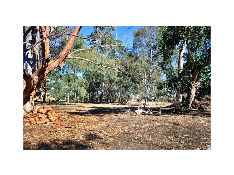 115 Robert Street, Henley Brook WA 6055