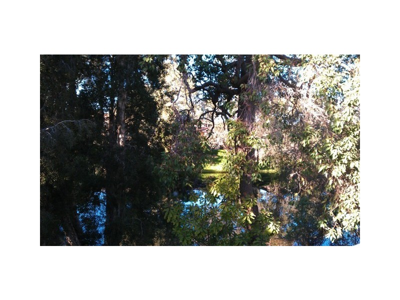 163/12 Wall Street, Maylands WA 6051