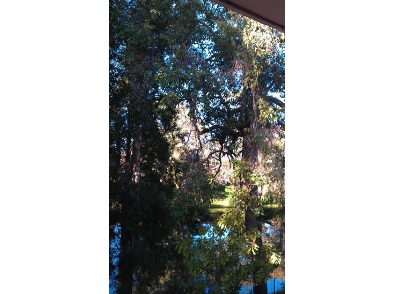 163/12 Wall Street, Maylands WA 6051