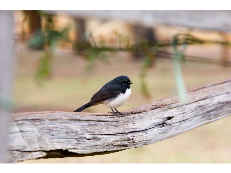 6/18 Fogerthorpe Crescent, Maylands WA 6051