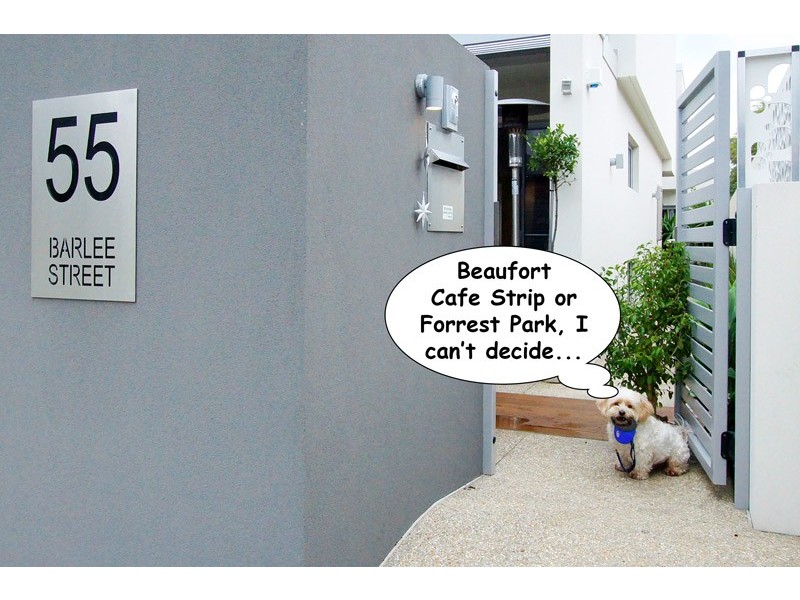 55 Barlee Street, Mount Lawley WA 6050