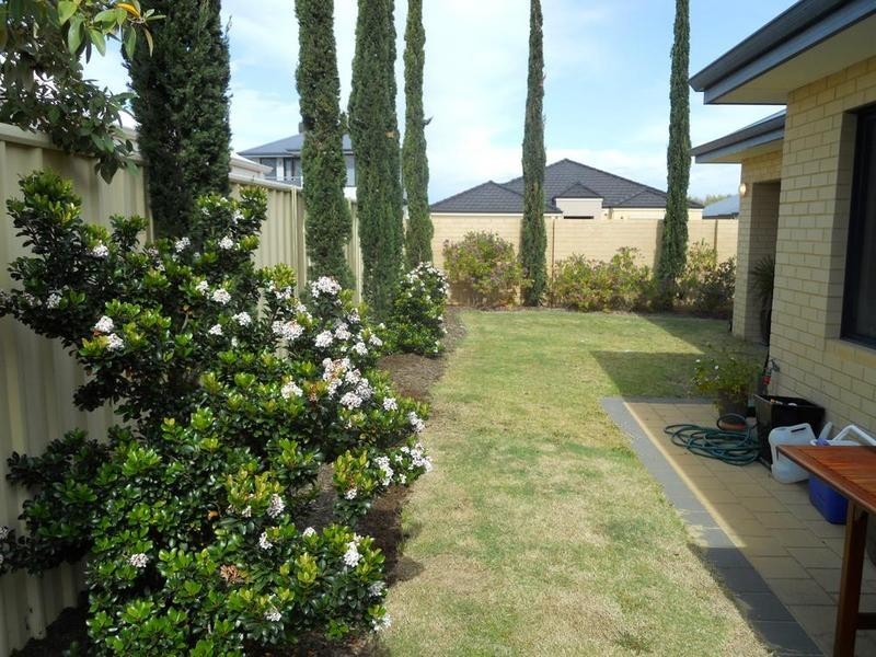 23 Balsam Link, Stirling WA 6021