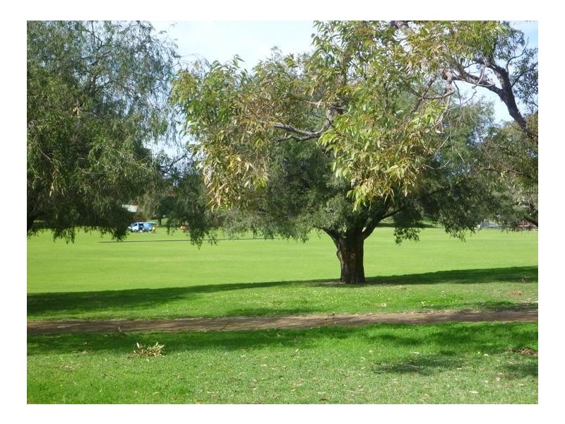 29 Kenmore Crescent, Floreat WA 6014