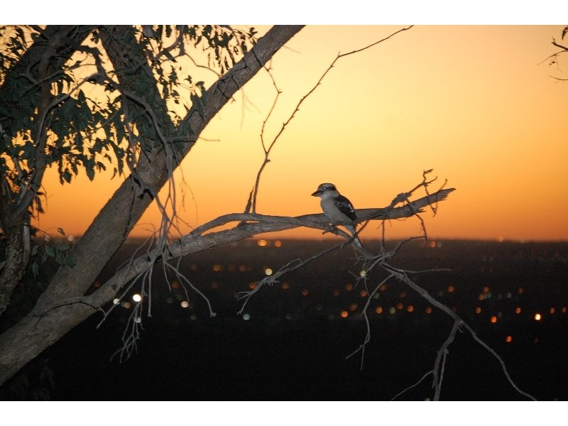 11 Narrik Court, Kelmscott WA 6111