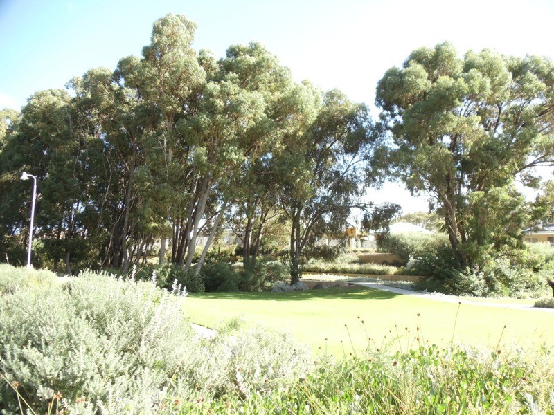 9 Windy Lane, Yanchep WA 6035