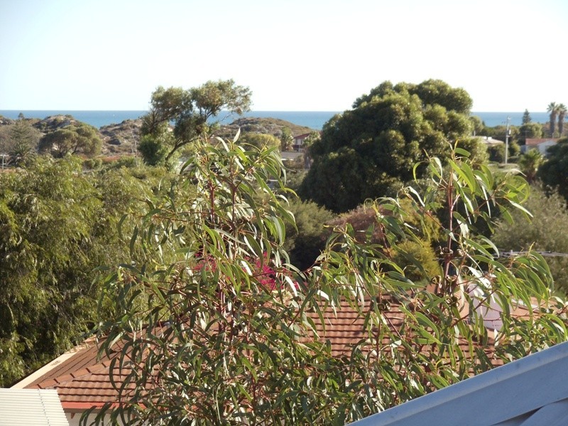 24 Leichhardt Drive, Two Rocks WA 6037