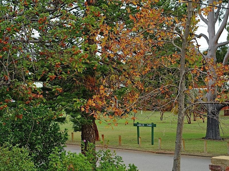 8 Grasby Street, Floreat WA 6014