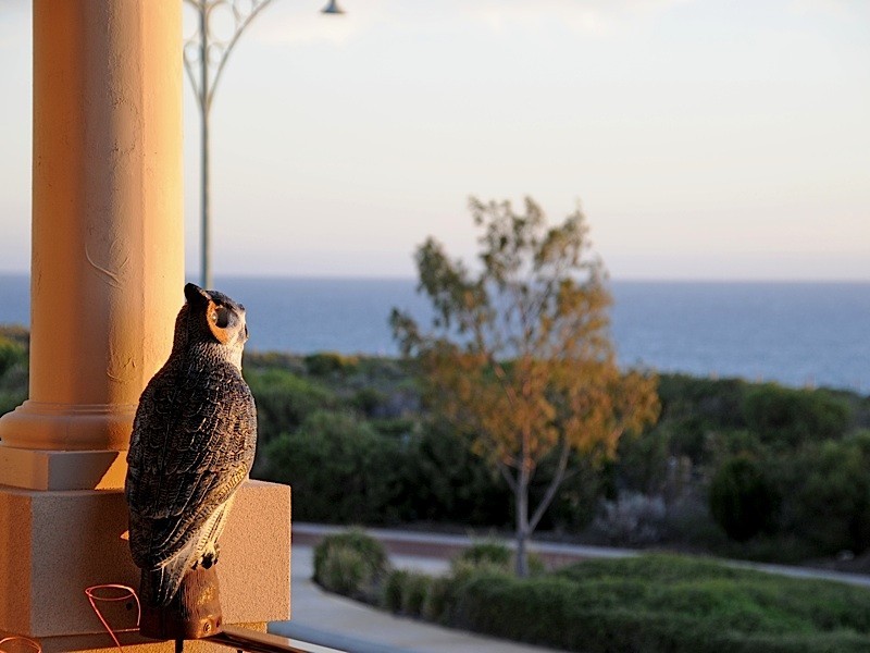 585 Burns Beach Road, Iluka WA 6028