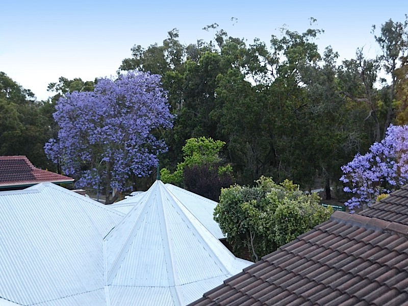 51 Churchlands Ave, Churchlands WA 6018