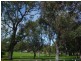 11 Glenties Road, Floreat WA 6014