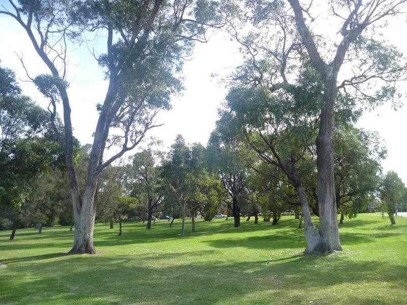 64 Moray Avenue, Floreat WA 6014