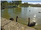 21 St Helena Way, Iluka WA 6028
